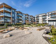 300 Salter Street Unit 317, New Westminster image