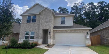 1037 Dancing Feather Street, Montgomery