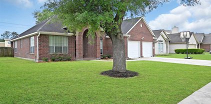 11235 Rocky Mill Drive, Cypress