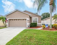 8128 Ambersweet Place, Land O' Lakes image
