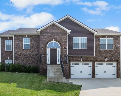 202 Kingstons Cove, Clarksville