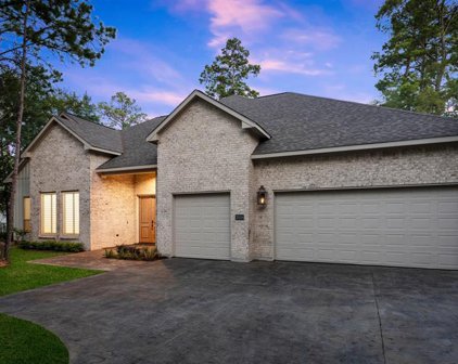 25134 W Tara Plantation Drive, Tomball