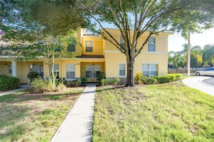 3376 Spy Tower Court, Valrico