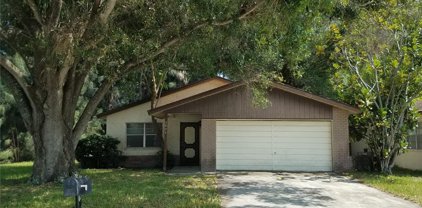 2894 Cathy Lane, Clearwater
