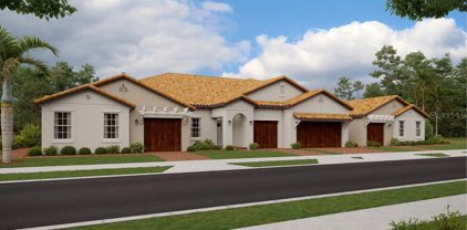17336 Holly Well Avenue, Wimauma