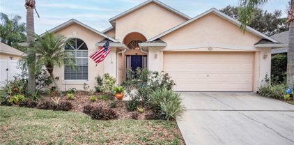 7137 Colony Pointe Drive, Riverview