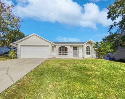 772 Licaria Drive, Ocoee