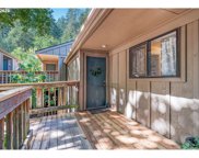 422 STONEWOOD DR, Eugene image