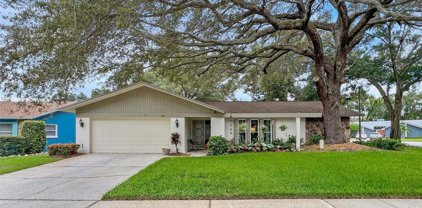 3041 Cascade Drive, Clearwater