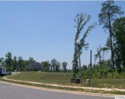 9851 Lake Side  Drive Unit 27, Tuscaloosa image