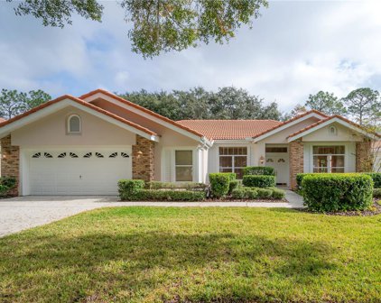17909 Holly Brook Drive, Tampa