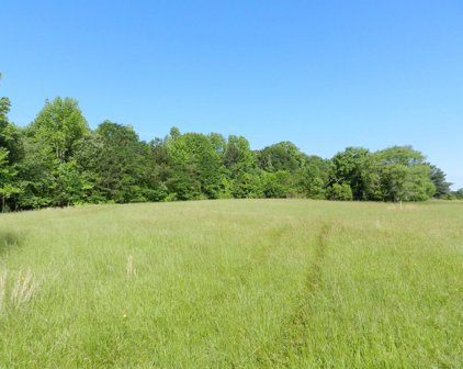 Lot 17 Potter, Gaffney