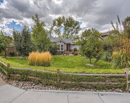 460 Snowy Owl Place, Highlands Ranch