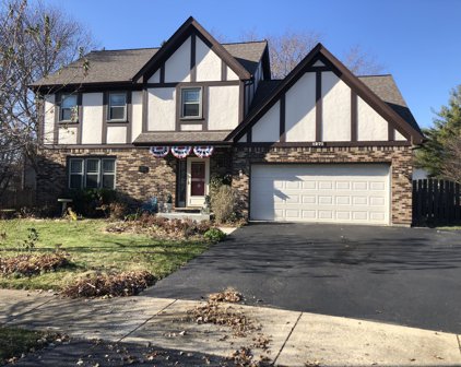 1271 E Old  Mill Court, Naperville