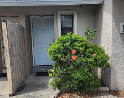 917 Otto Villa Place Unit 16, Tampa