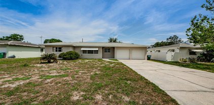1528 Valencia Street, Clearwater