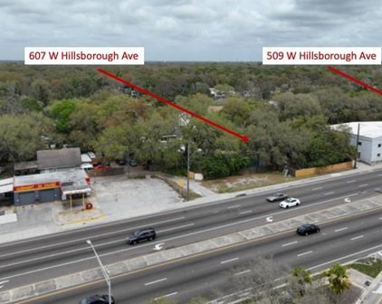 607 W Hillsborough Avenue, Tampa