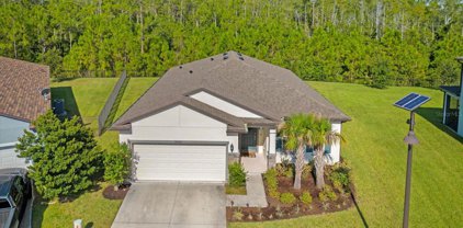 17477 Butterfly Pea Court, Clermont