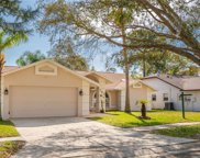 756 Brittany Park Boulevard, Tarpon Springs image