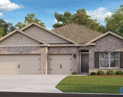 317 Mistfield Street, Huntsville