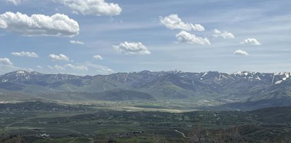 1369 Lower Cove Road, Park City