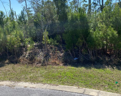 Lot 13 Gulf Terrace Ln, Port St. Joe