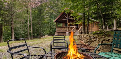 135 Staghorn Hollow Road, Beech Mountain