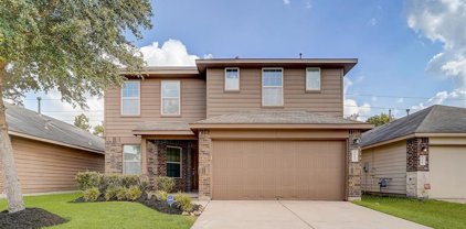 3531 Wigeon Ridge Lane, Houston