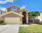12903 Brant Tree Drive, Riverview image