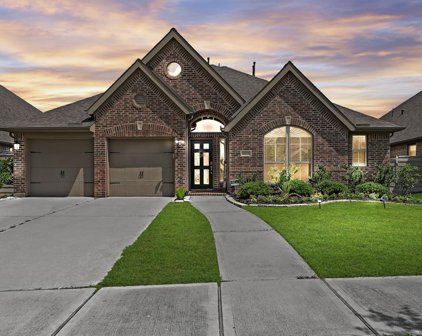 4600 Mesquite Terrace Drive, Manvel