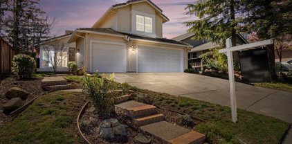 4864 Belford Peak Way, Antioch