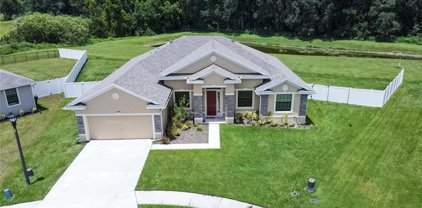 1876 Creeks Vista Boulevard, Lakeland