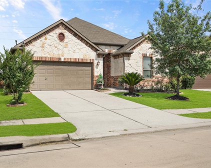 29516 Salem Fields Dr Drive, Spring