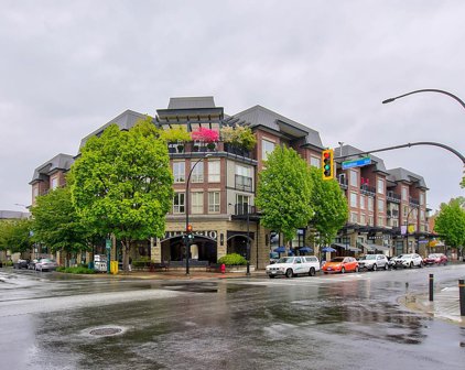 2627 Shaughnessy Street Unit 214, Port Coquitlam