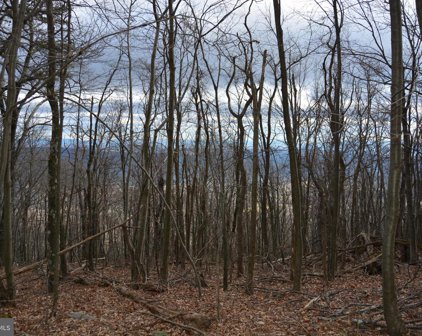 Rockwood Trl Unit #49.61 ACRES, Winchester
