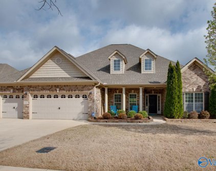 4517 Blairmont Drive, Owens Cross Roads