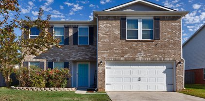 104 Tynedale Drive, Madison