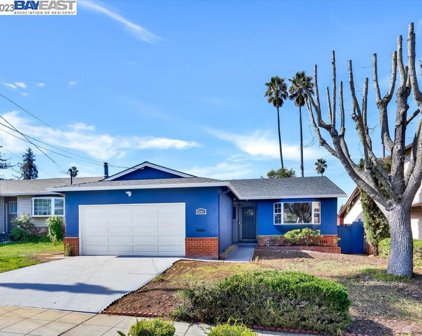22563 Northview Dr, Hayward