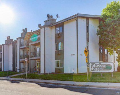 2280 S Oswego Way Unit 206, Aurora