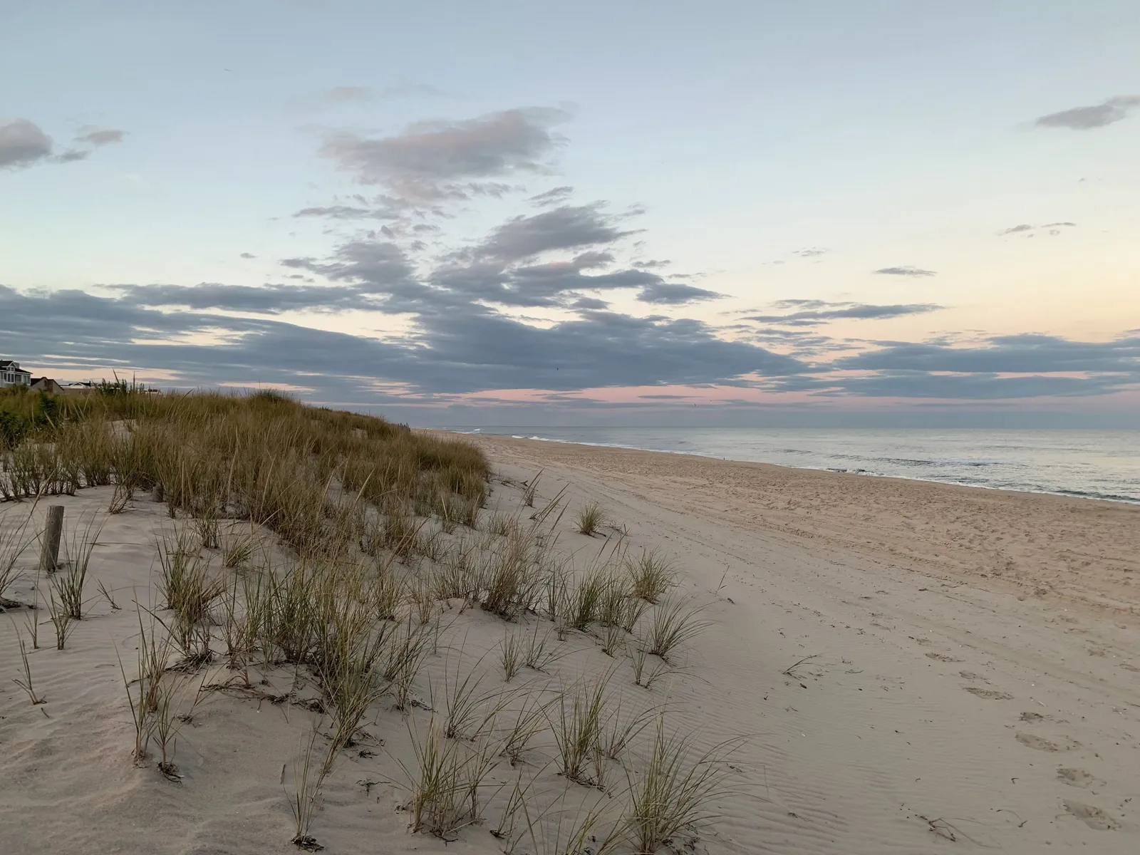 Dune grass on a wide, empty New Jersey beach at dusk, with the ocean under a pale pink sky