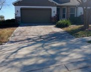 34336 Tuscany Avenue, Sorrento image