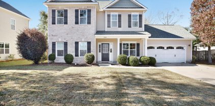 248 Marsh Haven Drive, Sneads Ferry