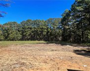 TBD Hwy 1206, Deville image