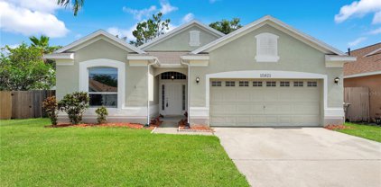 15821 Pine Lily Court, Clermont
