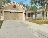 3210 Summer Cruise Drive, Valrico image
