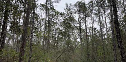 0000000 E Dummyline Road, Picayune