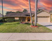 15106 Alexis Drive, Tampa image