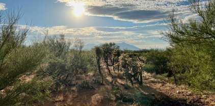15966 W Phillips Unit #270, Tucson
