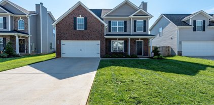 3322 Song Sparrow Drive, Maryville