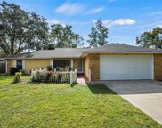 3140 Mary Lane, Mount Dora image